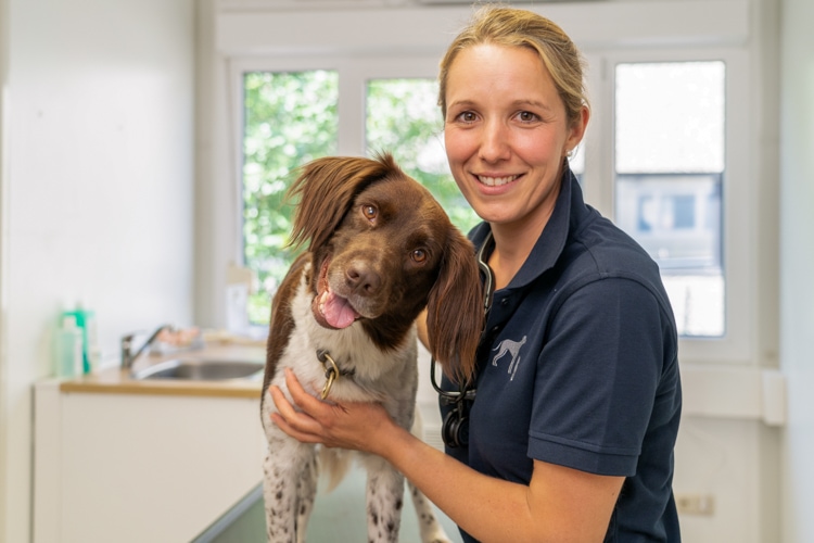 Tierarzt Dr. Frank Dieffenbacher Praxis Für Groß & Klein Team - Fachzentrum für Kleintiermedizin
